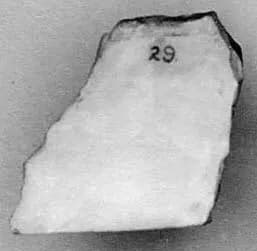 Fragment by Unknown Artist
