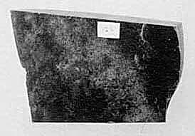 Fragment by Unknown Artist