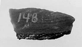 Fragment by Unknown Artist