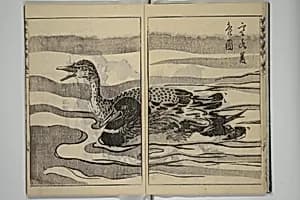 寒葉斎画譜|Kan'yōsai Picture Album (Kan'yōsai gafu 寒葉斎画譜) by Kan'yōsai 寒葉斎 (Tatebe Ayatari 建部綾足)