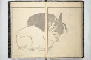Portrait of Kawamura Kihō 河村琦鳳