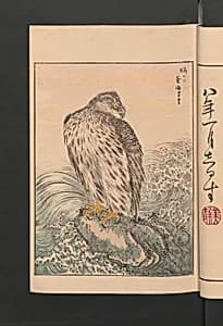 聚鳥畫譜|Picture Album of Various Birds (Shūchō gafu) by Numata Kashū