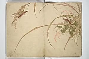 Portrait of Mori Shunkei 森春渓