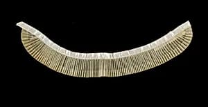 Collar by Unknown Artist