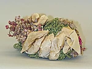 Hat by Unknown Artist