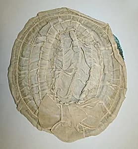 Hat by Unknown Artist