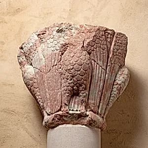 Capital by Unknown Artist