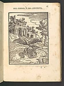 Cento Favole Morali (100 moral fables) by Giovanni Maria Verdizotti|Giovanni Maria Verdizotti|Giordano Ziletti