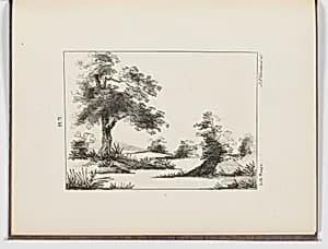 Portrait of N. G. Burgess & Co.|Samyn|James Arthur Cleveland