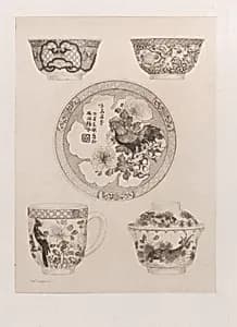 Famille Rose Japonaise by Jules-Ferdinand Jacquemart