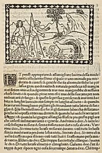 Portrait of Gianstephano di Carlo da Pavia