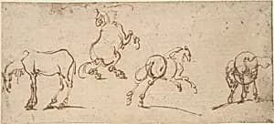Four Studies of Horses