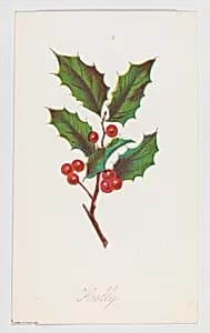 Holly from Autumn Leaves Part 2 by Louis Prang & Co.