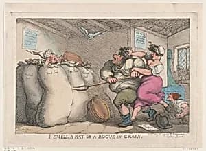 I Smell a Rat or a Rogue in Grain by Thomas Rowlandson