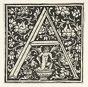 Initial letter A with putto