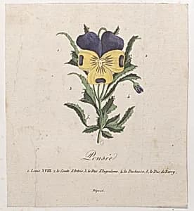 Portrait of Marie-Caroline de Bourbon-Sicile, duchesse de Berry|Anonymous|Charles Philippe, comte d'Artois|Charles Ferdinand Duke of Berry|Louis XVIII, King of France|Louis Antoine de Bourbon, Duc d'Angoulême