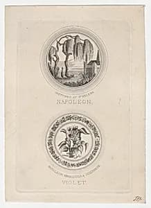 The shade of Napoleon visiting his tomb by John McCormick|Anonymous|Napoléon Bonaparte|Lefevre & Kohler