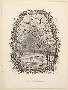 The Sparrow Aviary by Charles-François Daubigny
