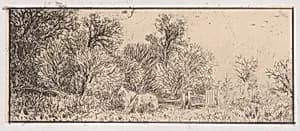 Two Horses in the Woods by Charles Jacque