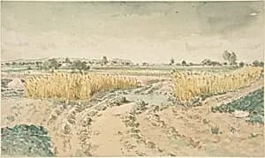 Wheatfields by Théodore Rousseau