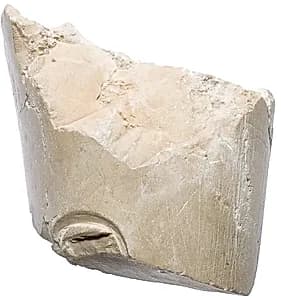 Arm with Aten cartouche by Unknown Artist