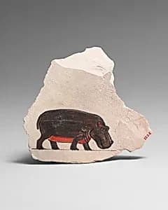 Artist's Painting of a Hippopotamus by Unknown Artist