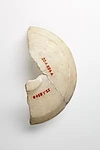 Bowl fragment by Unknown Artist