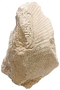 Breast with shawl, Aten cartouche by Unknown Artist