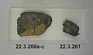 Charcoal Fragment by Unknown Artist