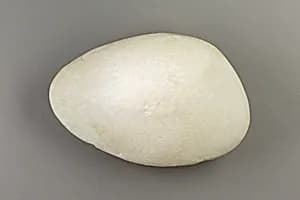 Clam-shell-shaped Hammer by Unknown Artist