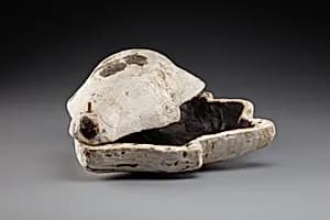 Container in the Shape of a Duck by Unknown Artist