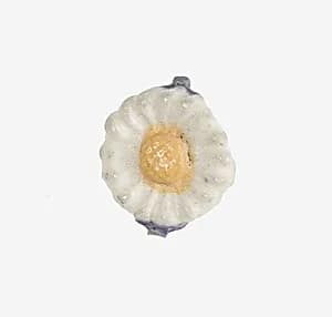 Daisy Bead by Unknown Artist