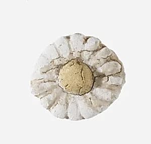 Daisy Bead by Unknown Artist