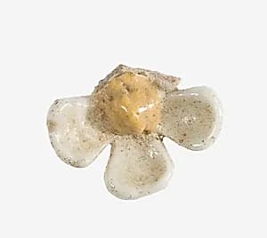 Daisy Pendant by Unknown Artist
