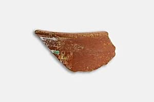 Decorated jar fragment by Unknown Artist