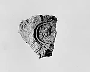Document Sealing With the Throne Name of Amenhotep III by Unknown Artist