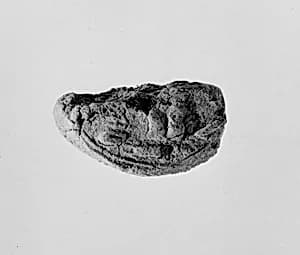 Document Sealing With the Throne Name of Amenhotep III by Unknown Artist