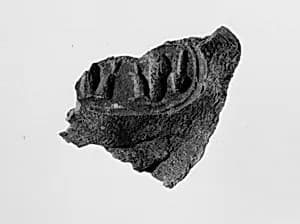 Document Sealing With the Throne Name of Amenhotep III by Unknown Artist