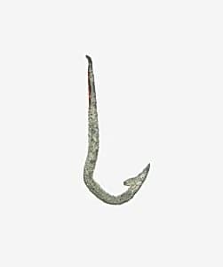 Fish Hook by Unknown Artist