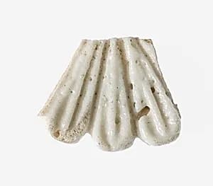 Fragment of a Daisy Bead by Unknown Artist