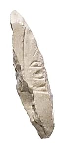 Fragment with Aten cartouche by Unknown Artist