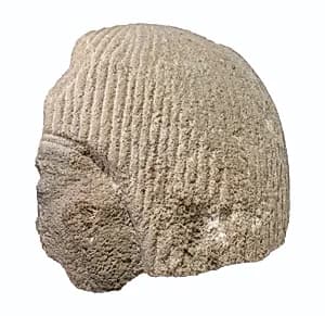 Head of official from a scene by Unknown Artist