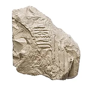 Inscribed fragment, Aten cartouche by Unknown Artist