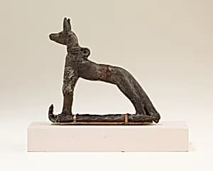 Jackal by Unknown Artist