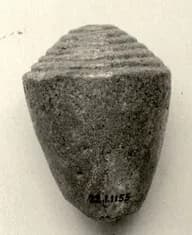 Model shell by Unknown Artist
