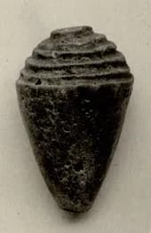 Model shell by Unknown Artist