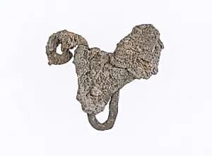 Ornament by Unknown Artist