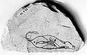 Ostracon by Unknown Artist
