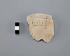 Ostracon with hieroglyph and hieratic by Unknown Artist