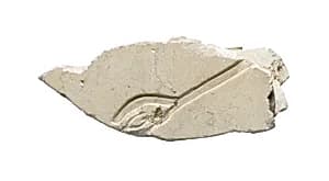 Pictorial relief, Aten hand by Unknown Artist
